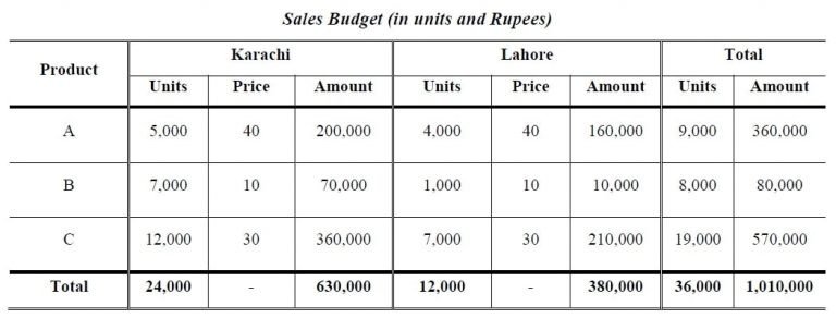 functional budget business plan